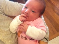 Little Peanut Little Peanut