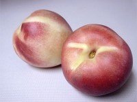 Fresh Peanut Butter Ice Cream Fresh Peanut Butter Ice Cream