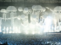 A Taste of Nocturnal A Taste of Nocturnal