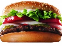 Junior Whopper Boy Junior Whopper Boy